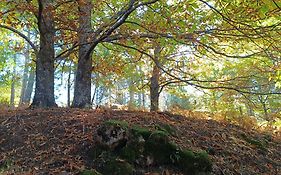 El Balcon Panoramico De Gredos